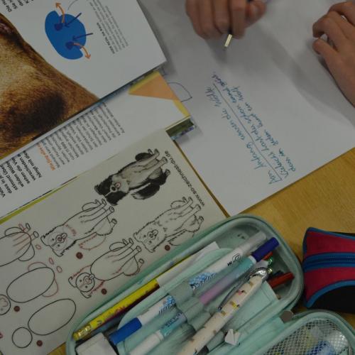 Workshop "Wildpferde"