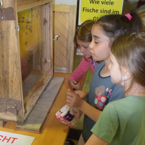 Schaubienenwabe