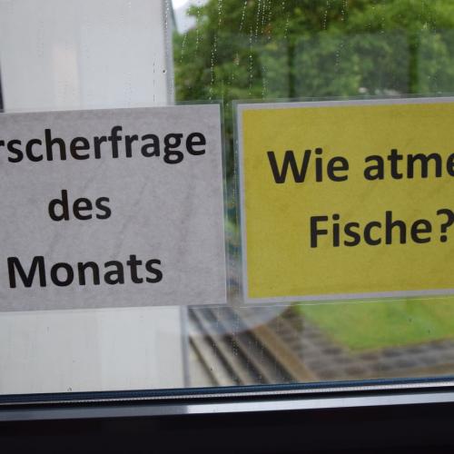 Forscherecke