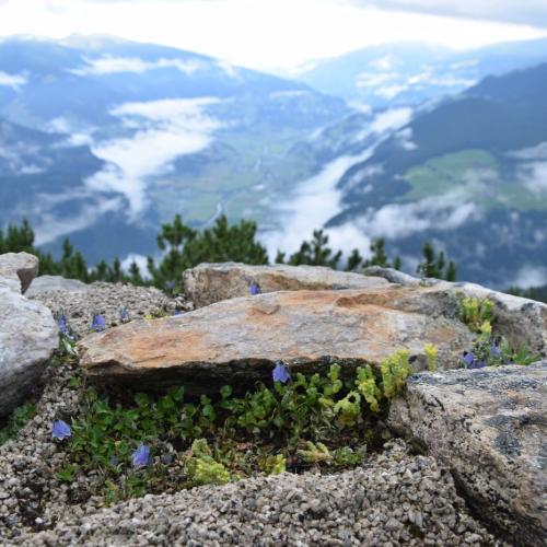Wandertag Ahorn