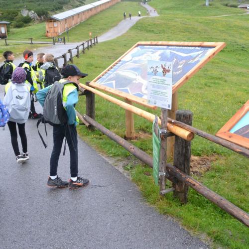 Wandertag Ahorn