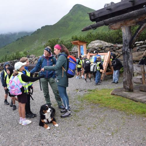 Wandertag Ahorn
