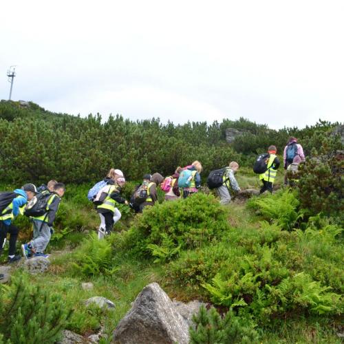 Wandertag Ahorn