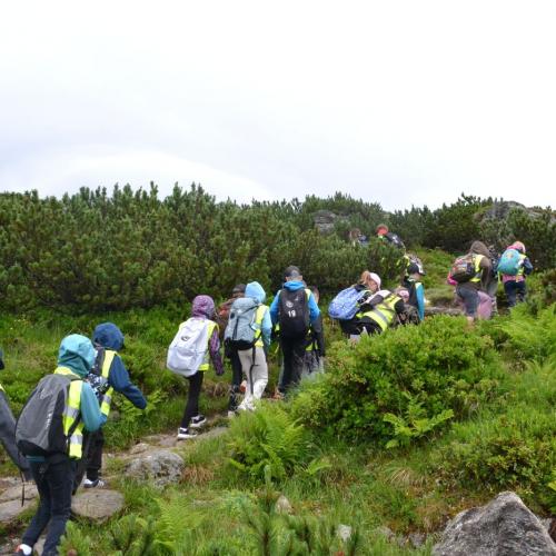 Wandertag Ahorn