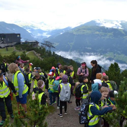Wandertag Ahorn