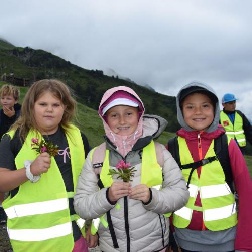 Wandertag Ahorn