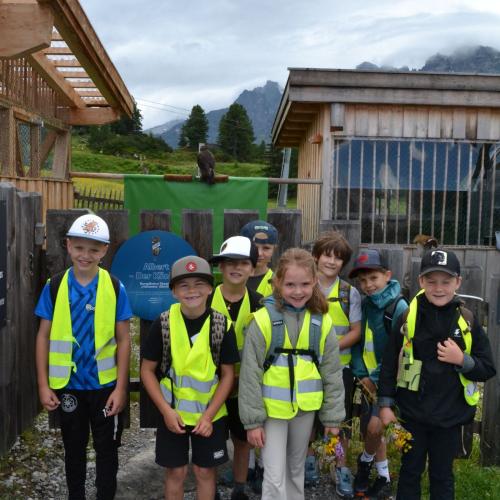 Wandertag Ahorn