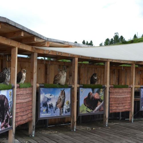 Wandertag Ahorn