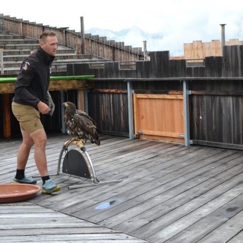 Wandertag Ahorn