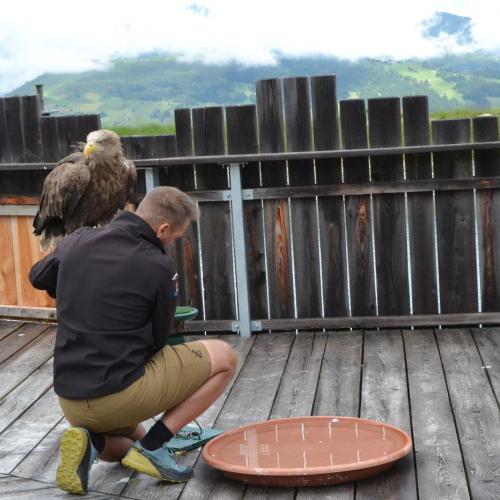 Wandertag Ahorn