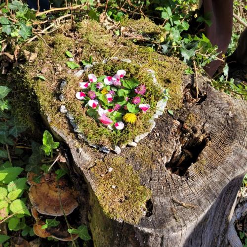 Mandala im Wald