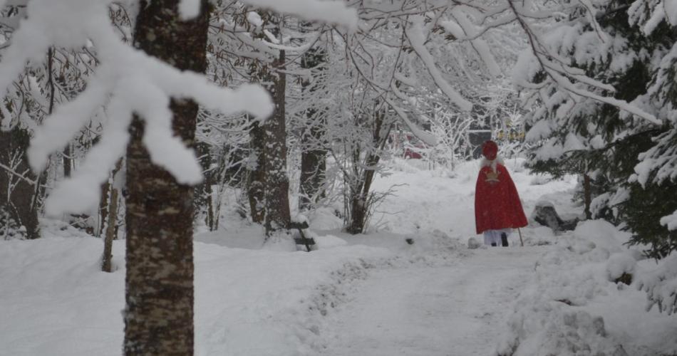 Zufallstreffen im Wald