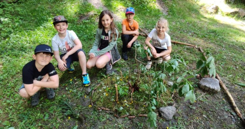 Naturmandalas im Wald