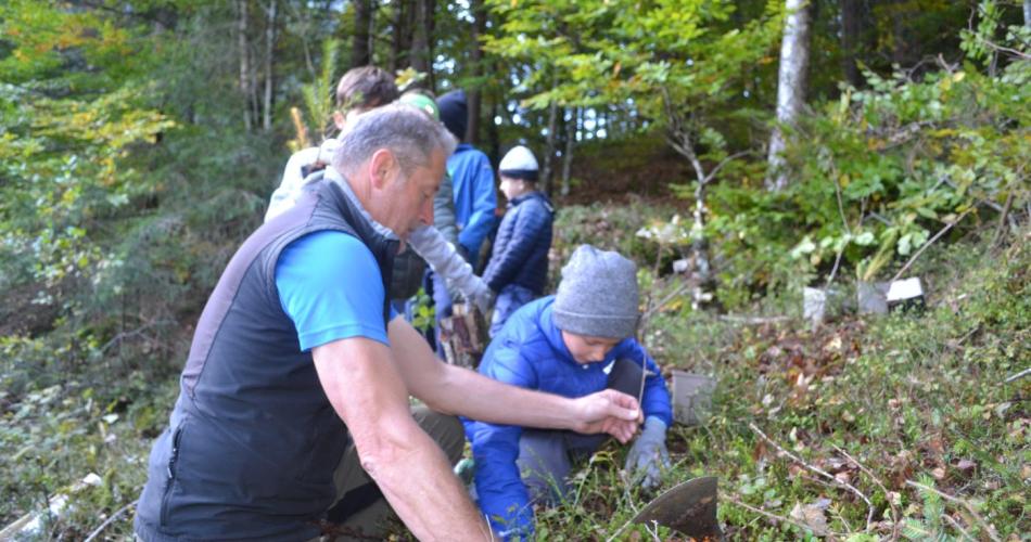Aufforstung im Naturpark