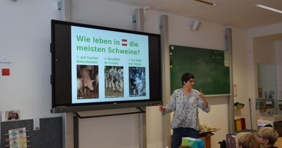 Verein gegen Tierfabriken