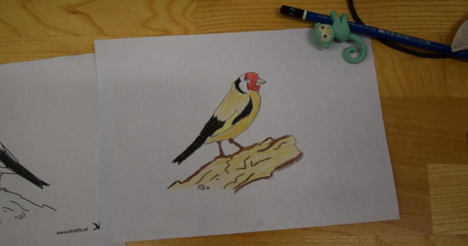 Stunde der Wintervögel