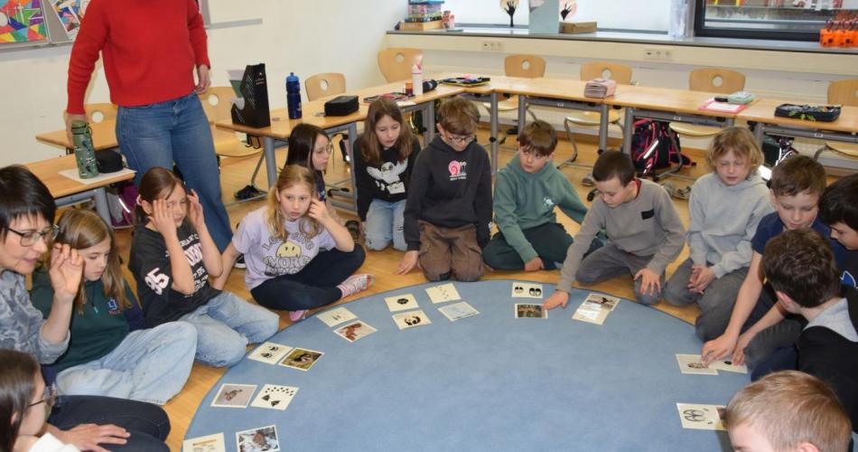 Workshop - Alpentiere