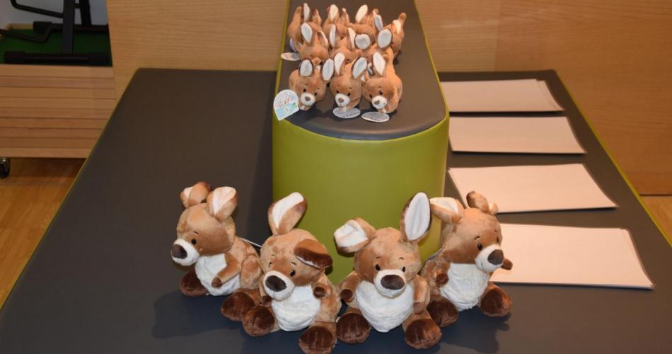 Känguru der Mathematik