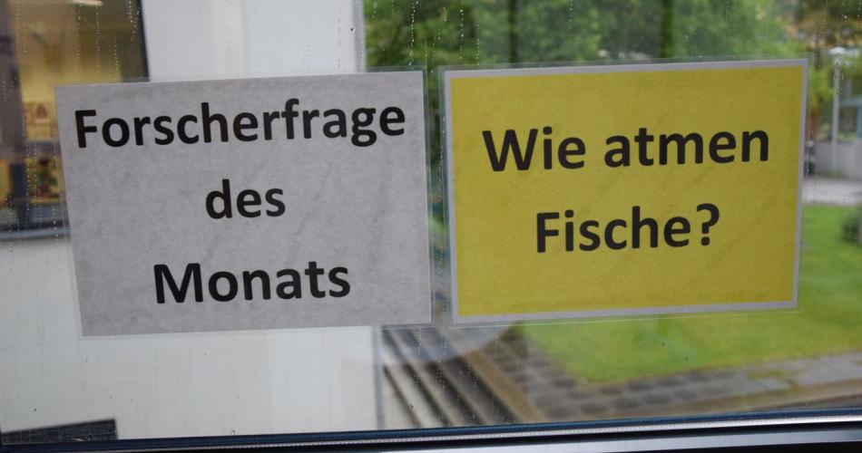 Forscherecke