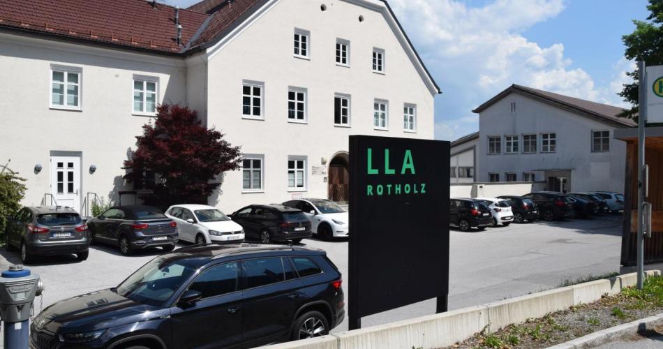 LLA Rotholz