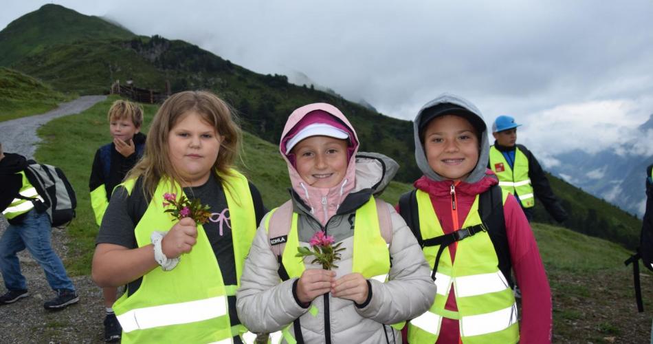 Wandertag Ahorn